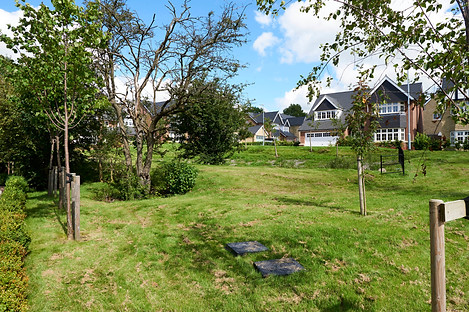 Whalley with green 1.jpg
