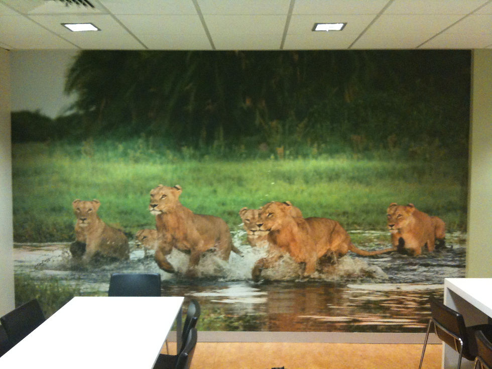 Office Wall Mural