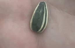 faith... a beginning