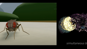 Fruitfly Digital Brain