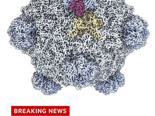AI Designs Living Viruses From Scratch That Actually Work