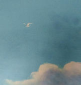 juste ciel un oiseau détail.jpg