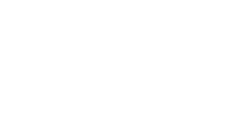 LOGO-FLACSI