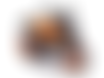 KTM Duke 390 350cc: Price, Specs, Mileage, Comparison & Full Review