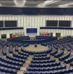 WhatsApp Image 2023-08-12 at 12.56.48