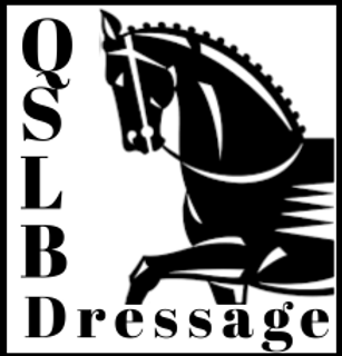 QLSB Updated Logo.png