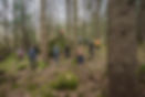 Sustainability-8105838.jpg