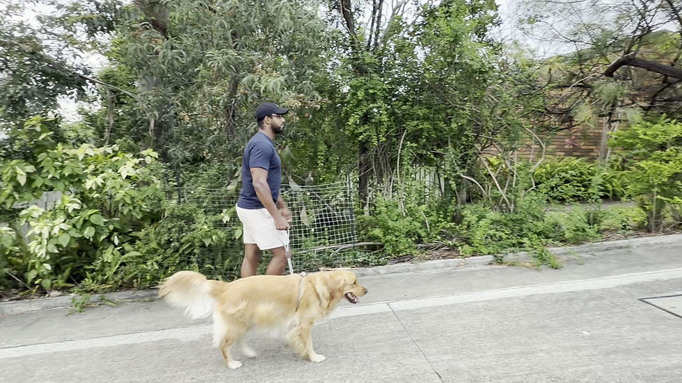 Thumbnail: Complete Walk Set