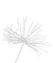 dandelion-seed-drawing_edited.png