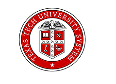 Image by Sam Mgrdichian