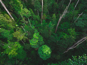 SWS SUSTAINABILITY EFFORTS