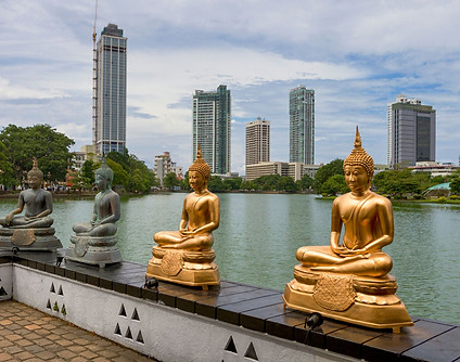 5n sri lanka_edited.jpg