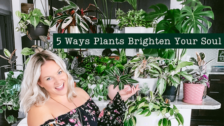 5 Ways Plants Brighten Your Soul