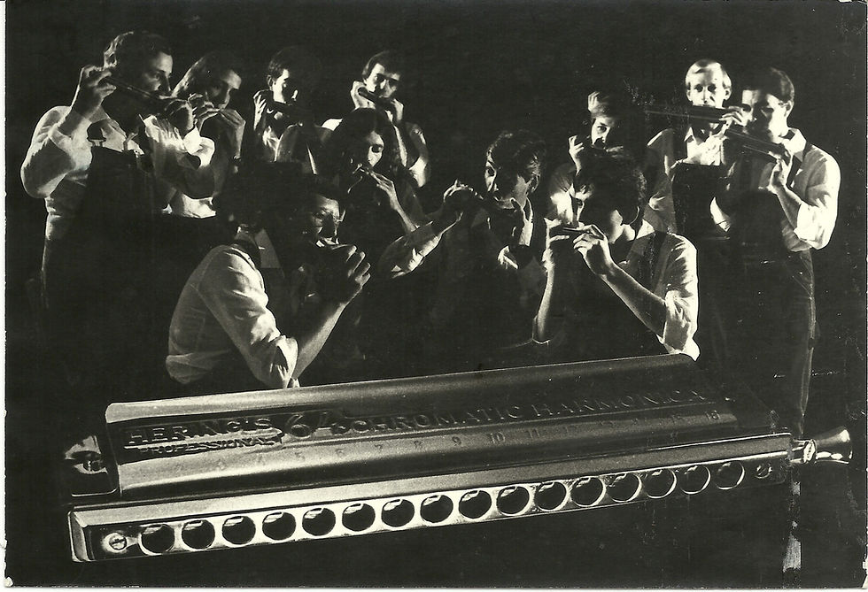 Orquestra Harmônicas de Curitiba