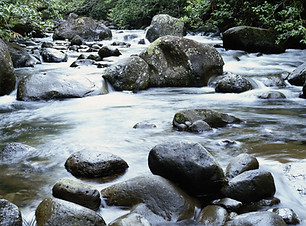 Gentle Stream