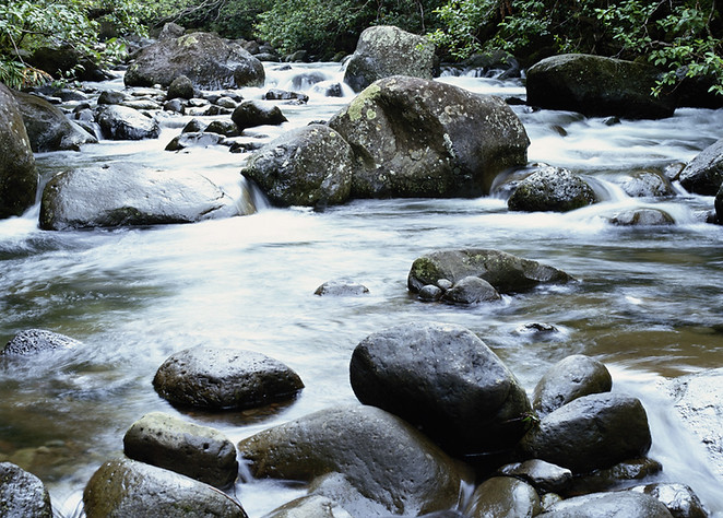 Gentle Stream