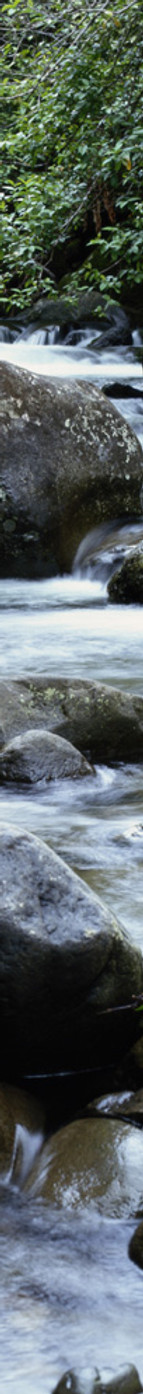 Gentle Stream