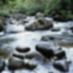 Fließender Waldbach