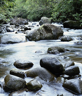 Gentle Stream