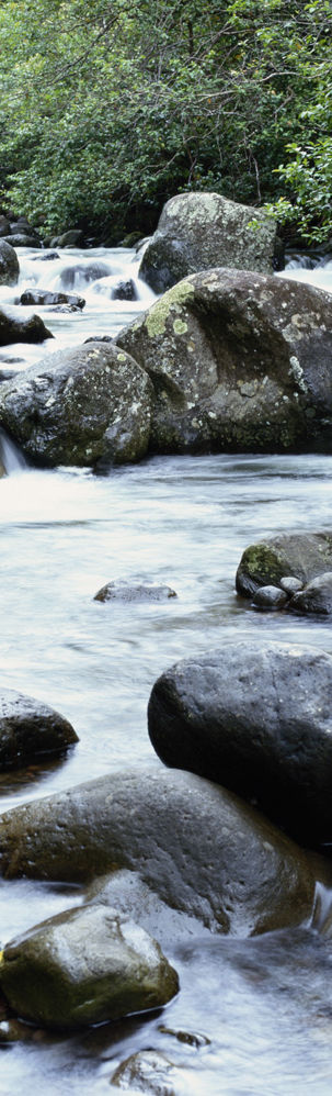 Gentle Stream