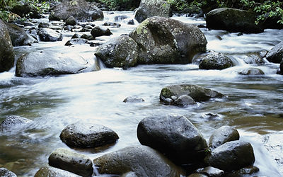 Gentle Stream
