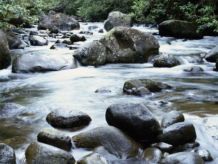 Natural Law - October 2019