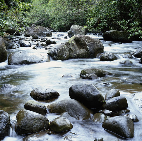 Gentle Stream-