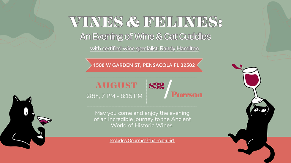 Vines & Felines: An Evening of Wine & Cat Cuddles