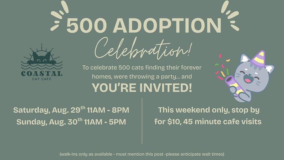 500 Adoption Celebration!!
