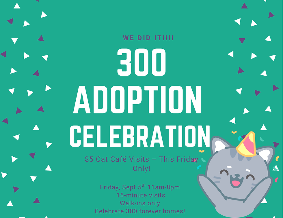 300 Adoption Celebration!!
