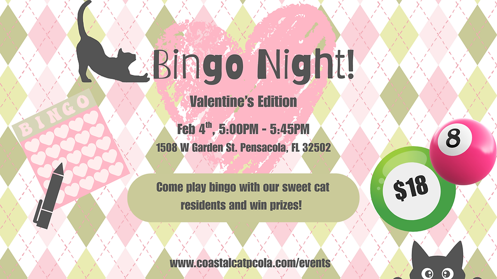 Wednesday Night Bingo: Valentine's Edition