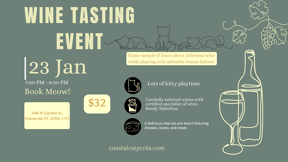 Wine Tasting with Cats! 