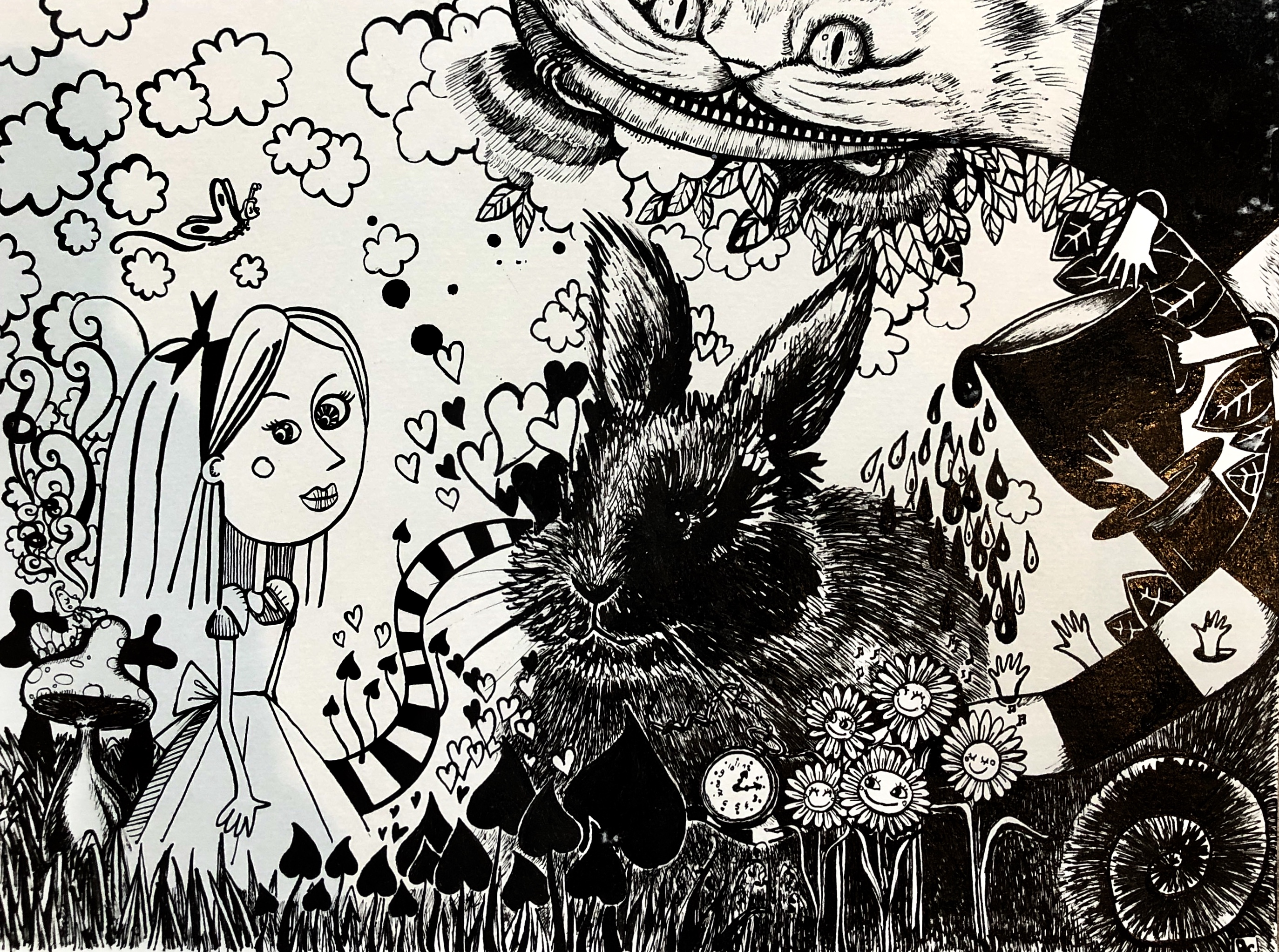 Follow the black rabbit