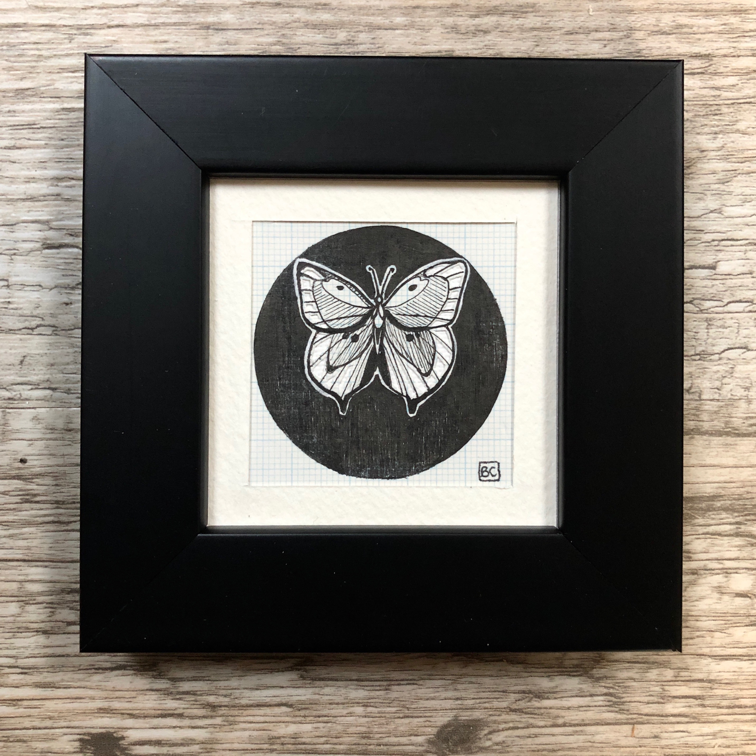 Papillon #2