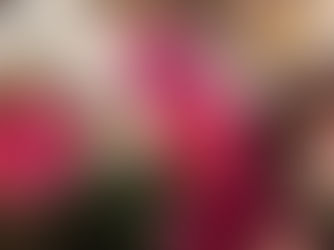 Pokyčiai kainoraštyje. Gimtadienio akimirkos. 9-ojo ADITI sezono startas!