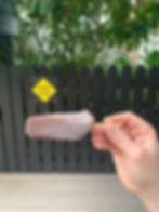 Photo of the Key Lime Pie on a Stick with the garden as the backdrop with signage stating "quiet zone" for the garden.