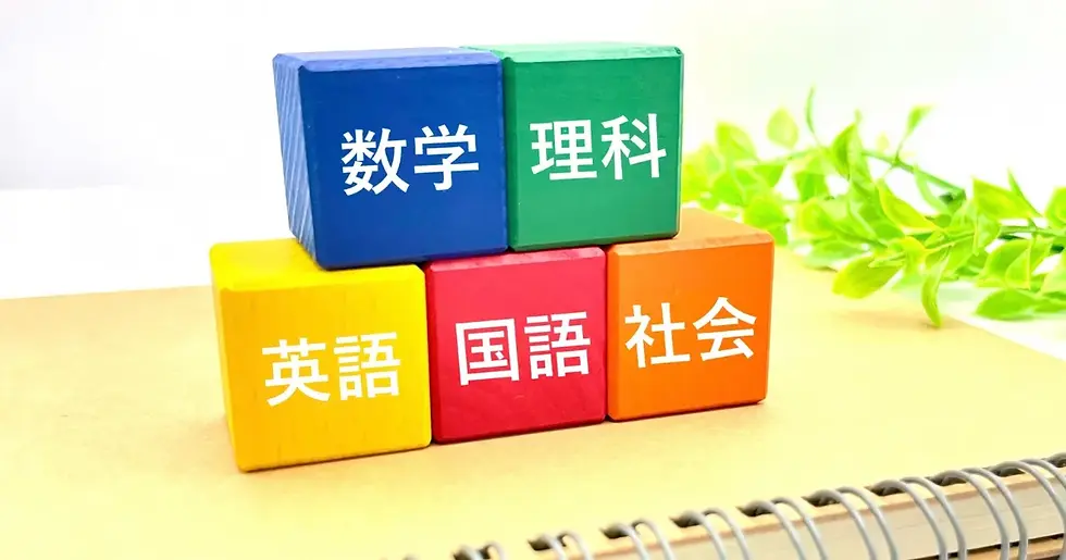 まとめ|理科と社会は分けて考えると補い方が決まる