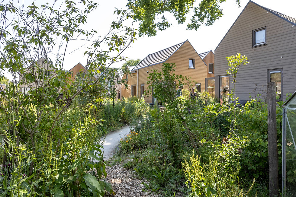 Groeneweerd Deventer Ard Schenkstraat- 72 Dpi-1.jpg