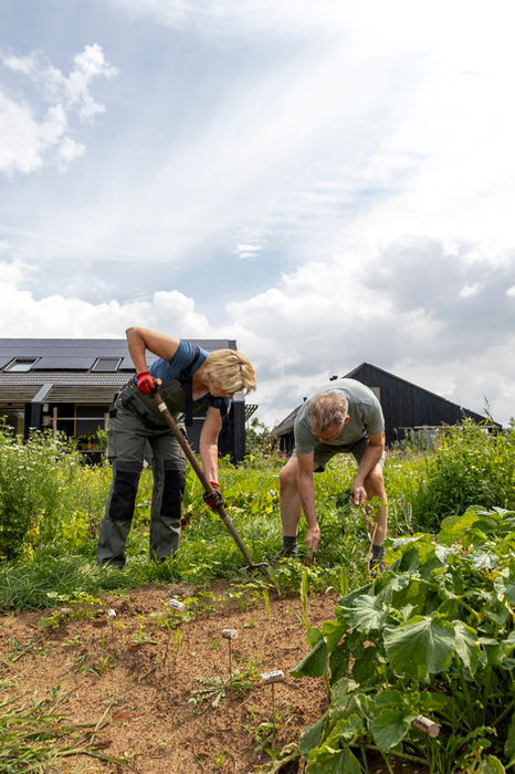 Werken in de collectieve moestuin voor biobased schuurwoningen