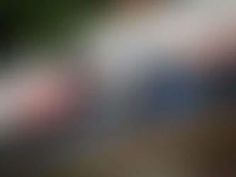 Unlucky Run Masks Axel Gore’s True Pace at WSK Final Cup Opener