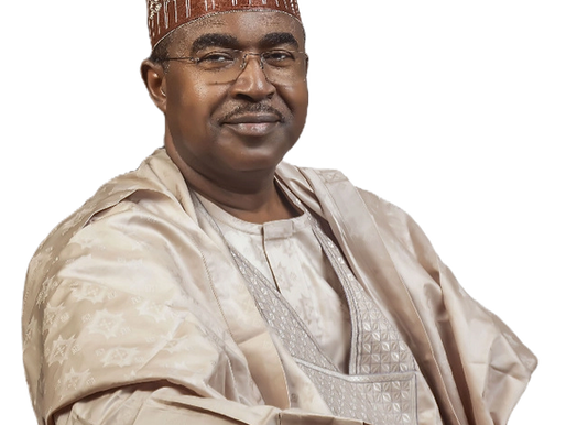 Brigadier General Mohamed Buba Marwa (Retired)