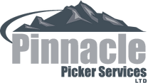 Pinnacle Picker Logo (1).png