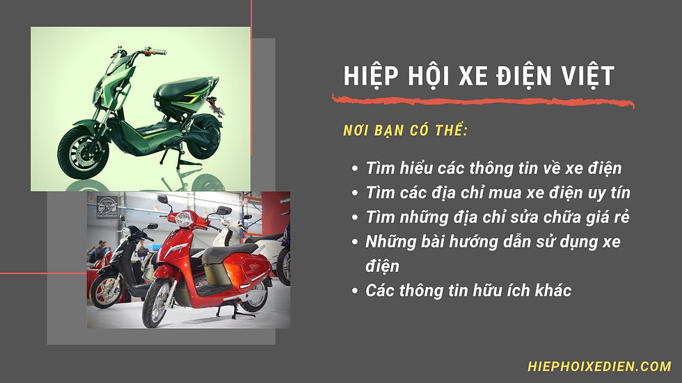 Hiệp hội xe điện Việt Nam