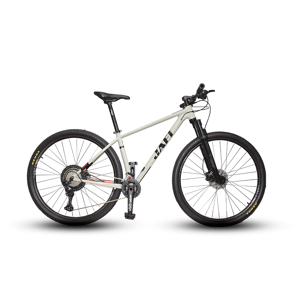 Miniatura: 29 – S¨ Hydes Bicicleta Montañera MTB