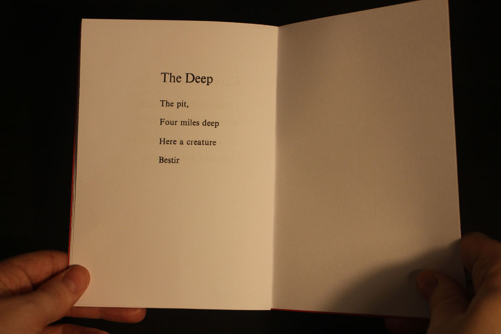 Book Page 5