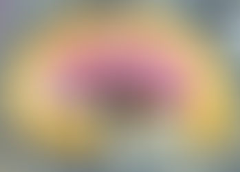 Cherry Blossoms on Rolled Sushi Mark a Spring