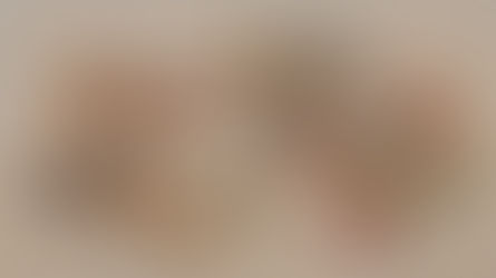 Selection from the Permanent Collection of Chiba Museum of Art XI