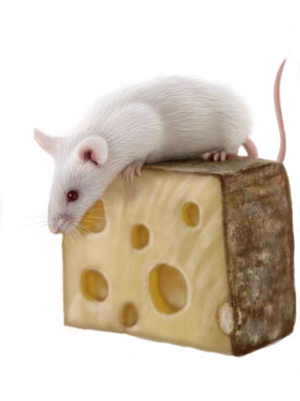 子年03Nikonプレミアム・ポストカード