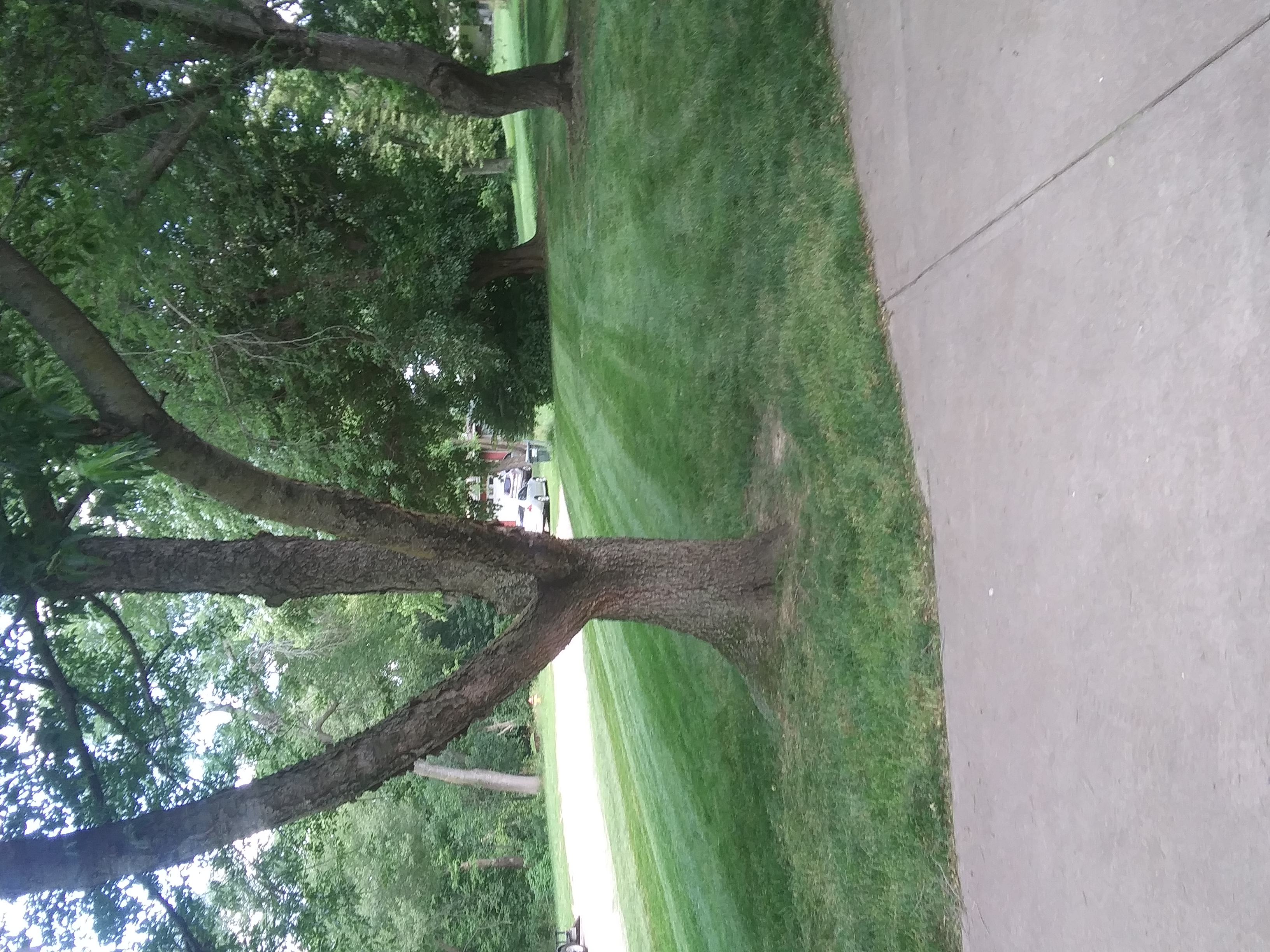 1-lawn-care-in-omaha-ne-lawn-mowing-omaha-we-mow-omaha