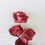 Thumbnail: Ombre Wine Sola Flower (5pcs)